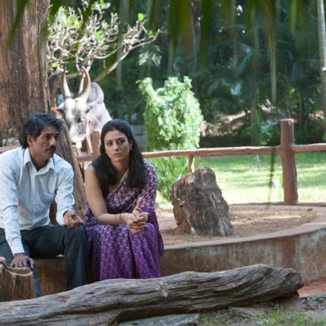 Une scène du film <em>Life of Pi</em>