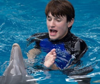 Une scène du film Dolphin Tale 2