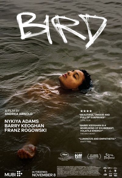 Affiche du film Bird