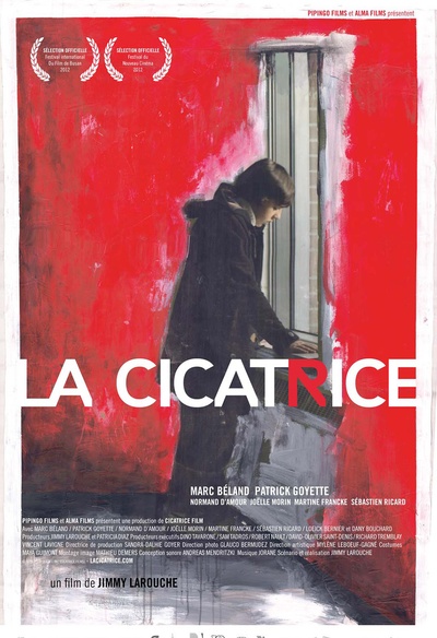 Affiche du film La cicatrice