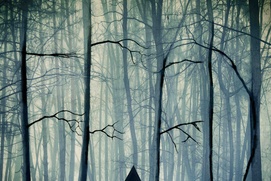 Affiche du film Gretel and Hansel