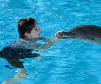 Une scène du film Dolphin Tale