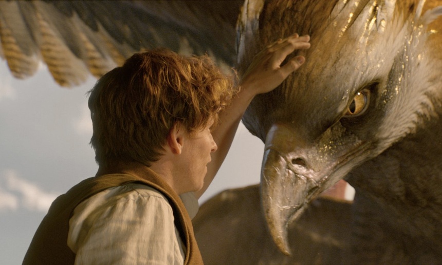 Box-office québécois : Les animaux fantastiques domine toujours