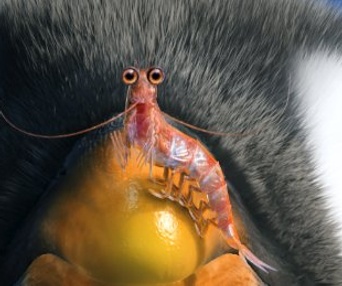 Une scène du film Happy Feet Two