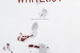 Affiche du film Whiteout Affiche du film Whiteout
