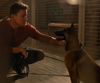 Une scène du film Dog