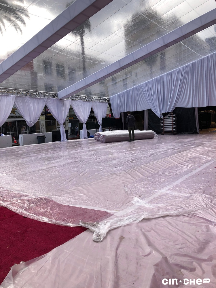 Tapis rouge des Oscars 2019