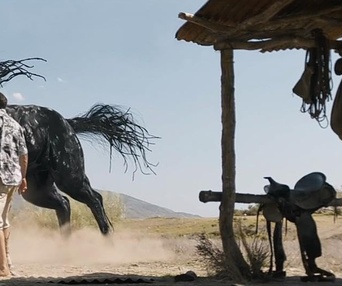 Images du film Venom : La dernière danse