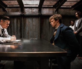 Une scène du film Fantastic Beasts and Where to Find Them