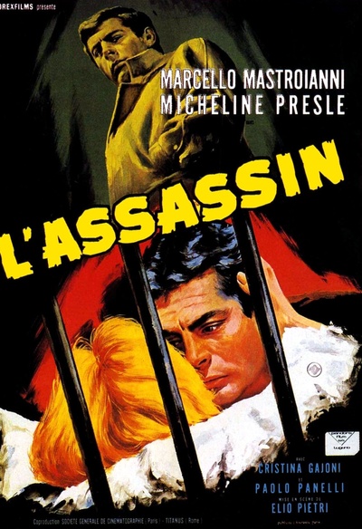 Affiche du film The Assassin