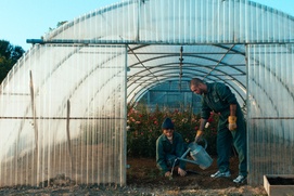 Image du film La fine fleur
