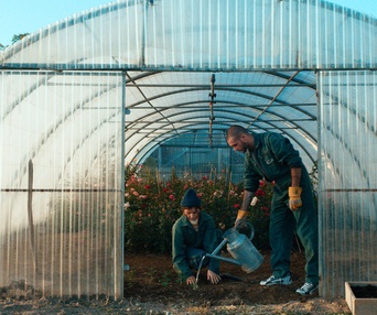 Image du film La fine fleur