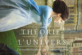 Affiche du film La théorie de l'univers