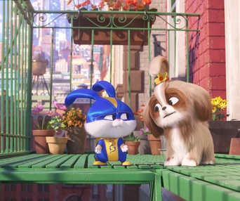 Une scène du film The Secret Life Of Pets 2
