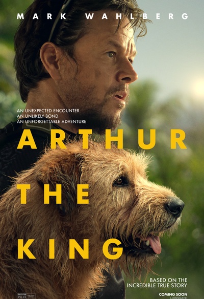 Affiche du film Arthur the King