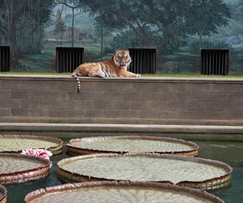 Une scène du film Life of Pi