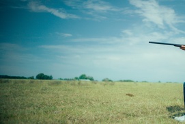 Image du film Barbaque