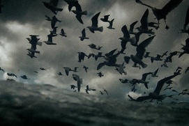 Affiche du film Leviathan