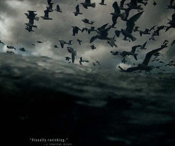 Affiche du film Leviathan