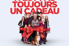 Affiche du film Noël chez les Coopers