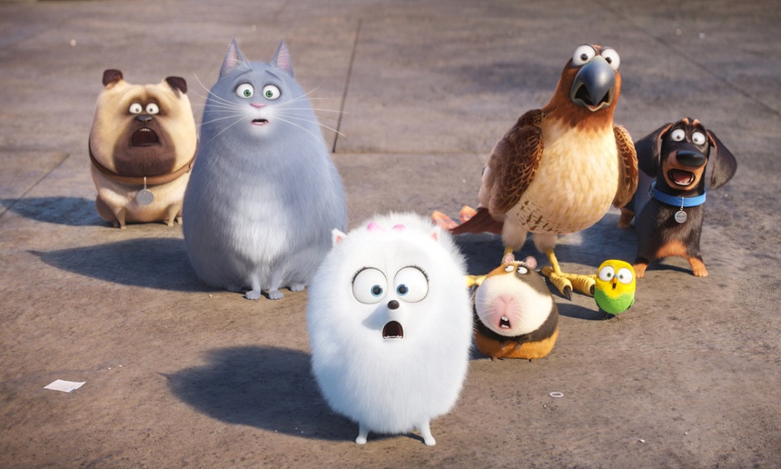 Nouveautés : The Secret Life of Pets