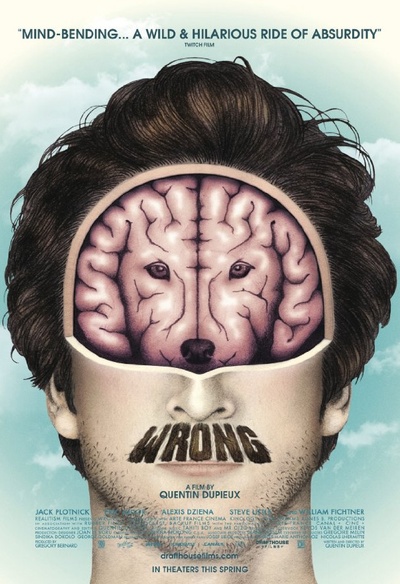 Affiche du film Wrong