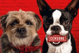 Affiche du film Strays Affiche du film Strays