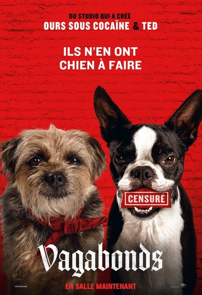 Affiche du film Strays