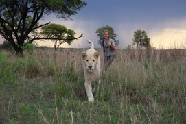 Une scène du film Mia et le lion blanc Une scène du film Mia et le lion blanc