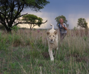 Une scène du film Mia et le lion blanc