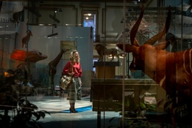 Une scène du film Wonder Woman 1984 Une scène du film Wonder Woman 1984