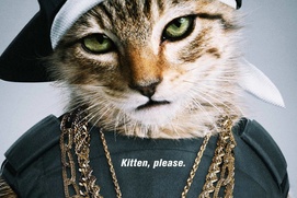 Affiche du film Keanu Affiche du film Keanu