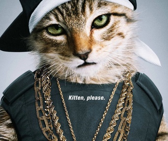 Affiche du film Keanu