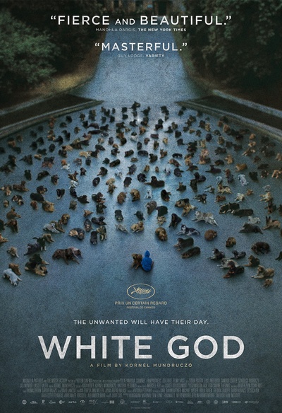 Affiche du film White God