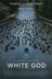 Affiche du film White God