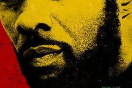 Affiche du film Mandela: Long Walk to Freedom