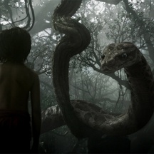 Photo de Neel Sethi