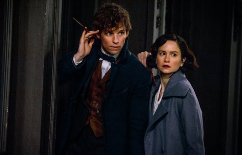 Une scène du film Fantastic Beasts and Where to Find Them