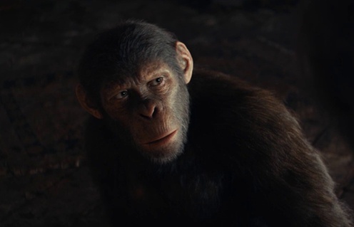 Bande-annonce en français