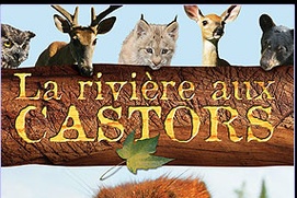Affiche du film La rivière aux castors Affiche du film La rivière aux castors