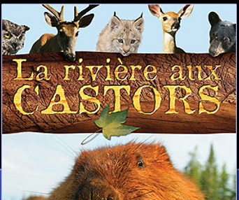 Affiche du film La rivière aux castors