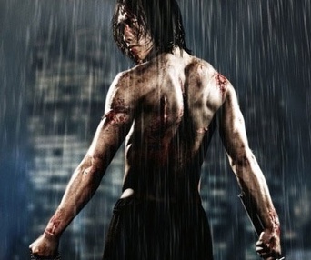 Affiche du film Ninja Assassin