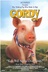 Affiche du film Gordy