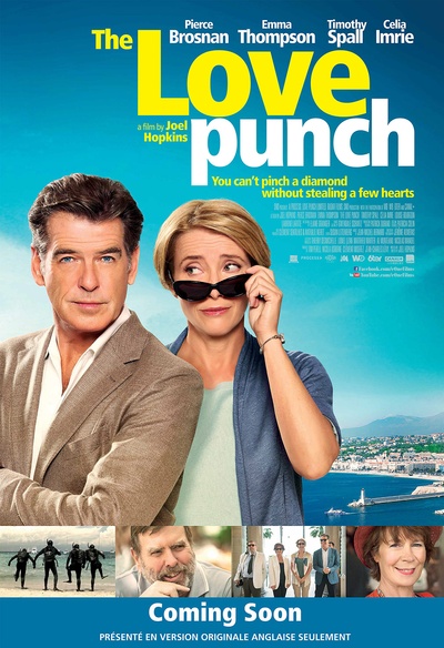 Affiche du film The Love Punch