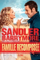 Affiche du film Famille recomposée