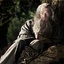 Ian McKellen dans The Hobbit: An Unexpected Journey