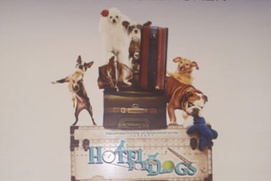 Affiche du film Hotel for Dogs