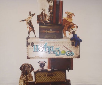 Affiche du film Hotel for Dogs