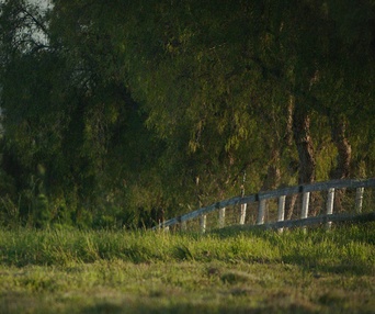 Une scène du film The Biggest Little Farm
