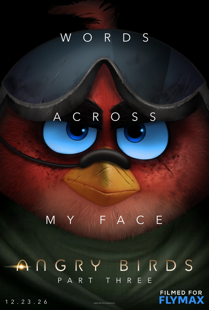 Image du film The Angry Birds 3